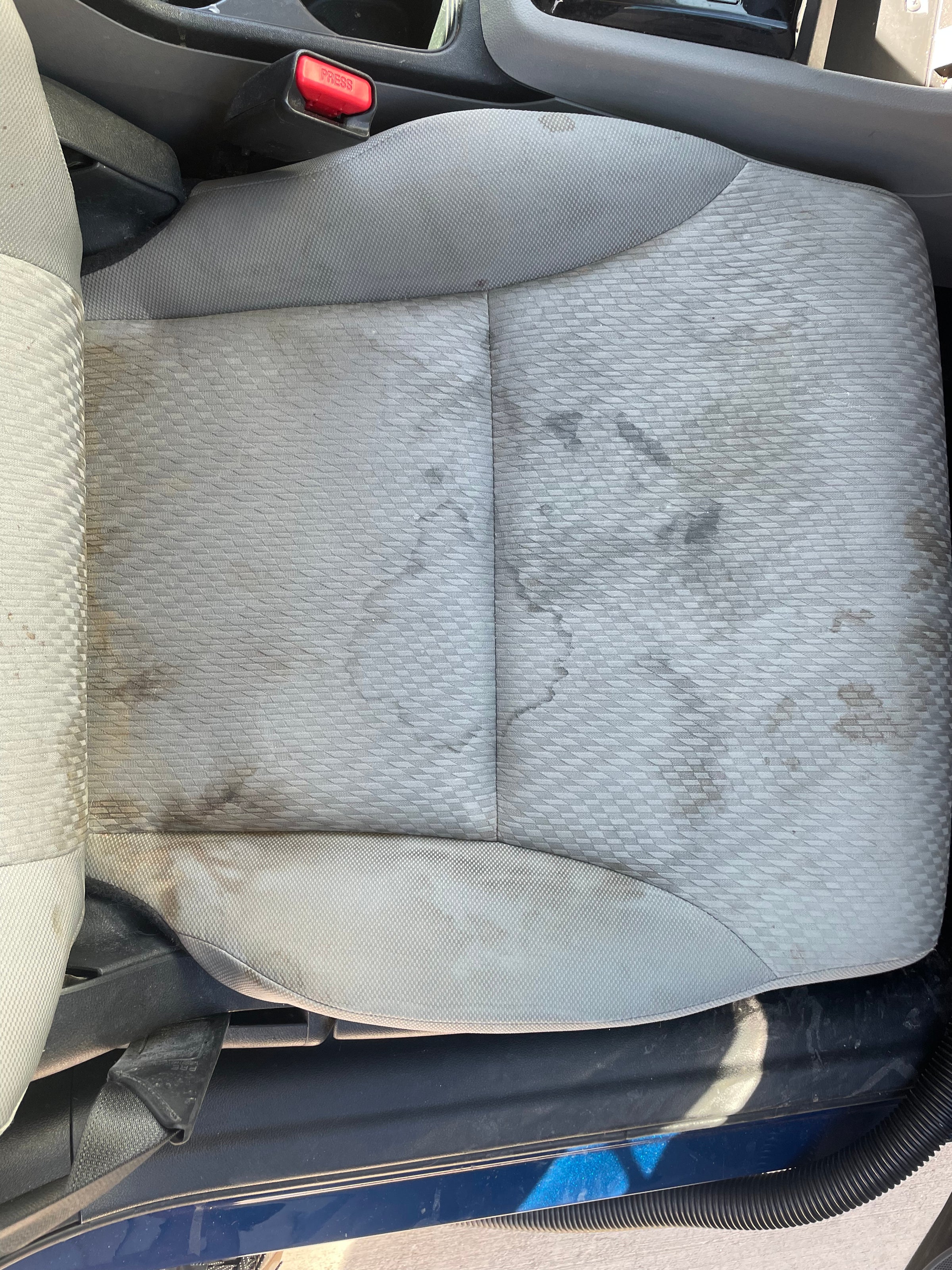 Mobile Car Detailing Near Me; Schedule Greg's Mobile Detailing